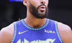 开云APP-尼日利亚男篮绝杀湖人B队，戈贝尔爆发神勇的简单介绍