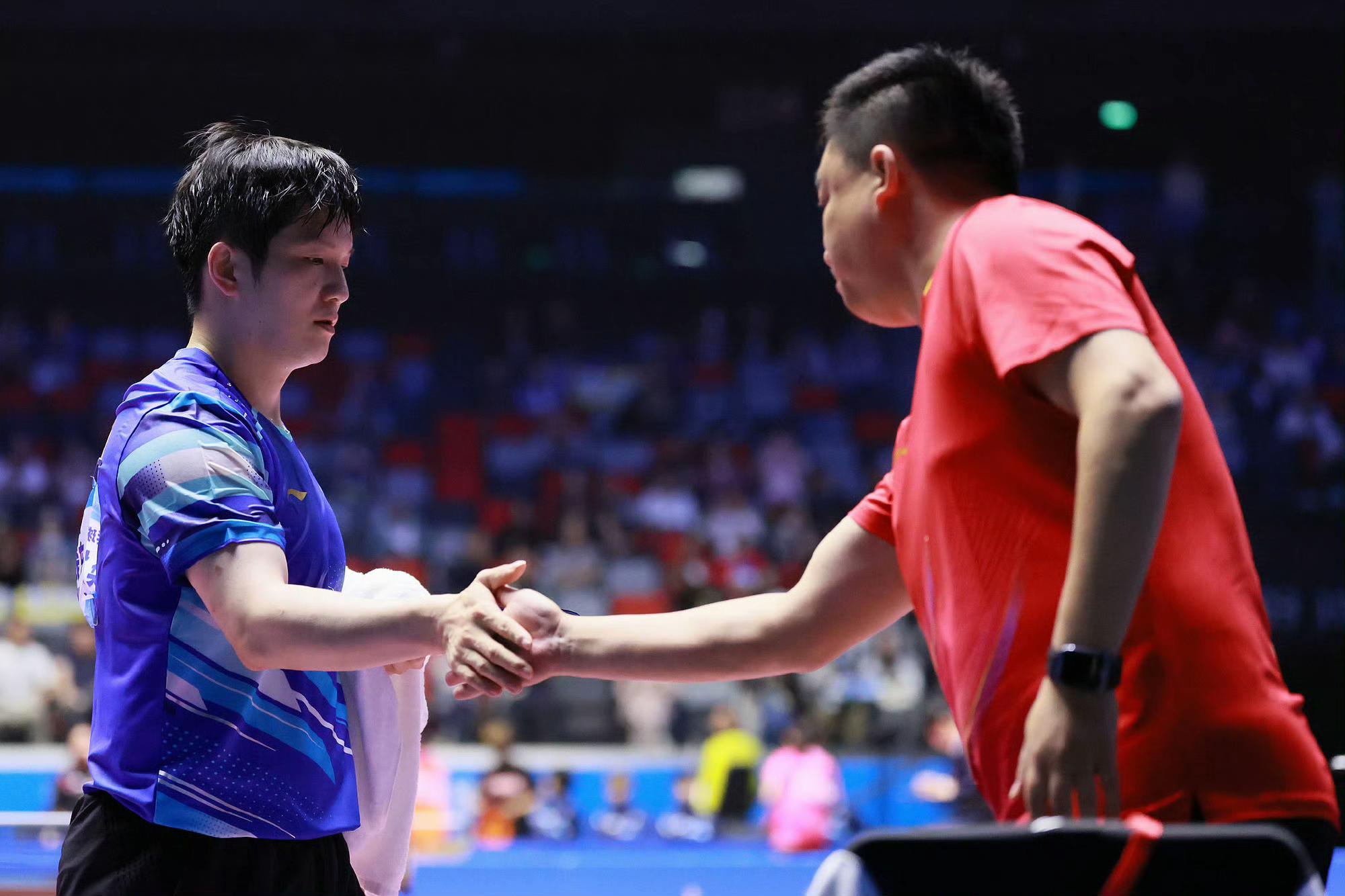 韩国队力克日本队,樊振东扛起全队 韩国队力克日本队,樊振东扛起全队