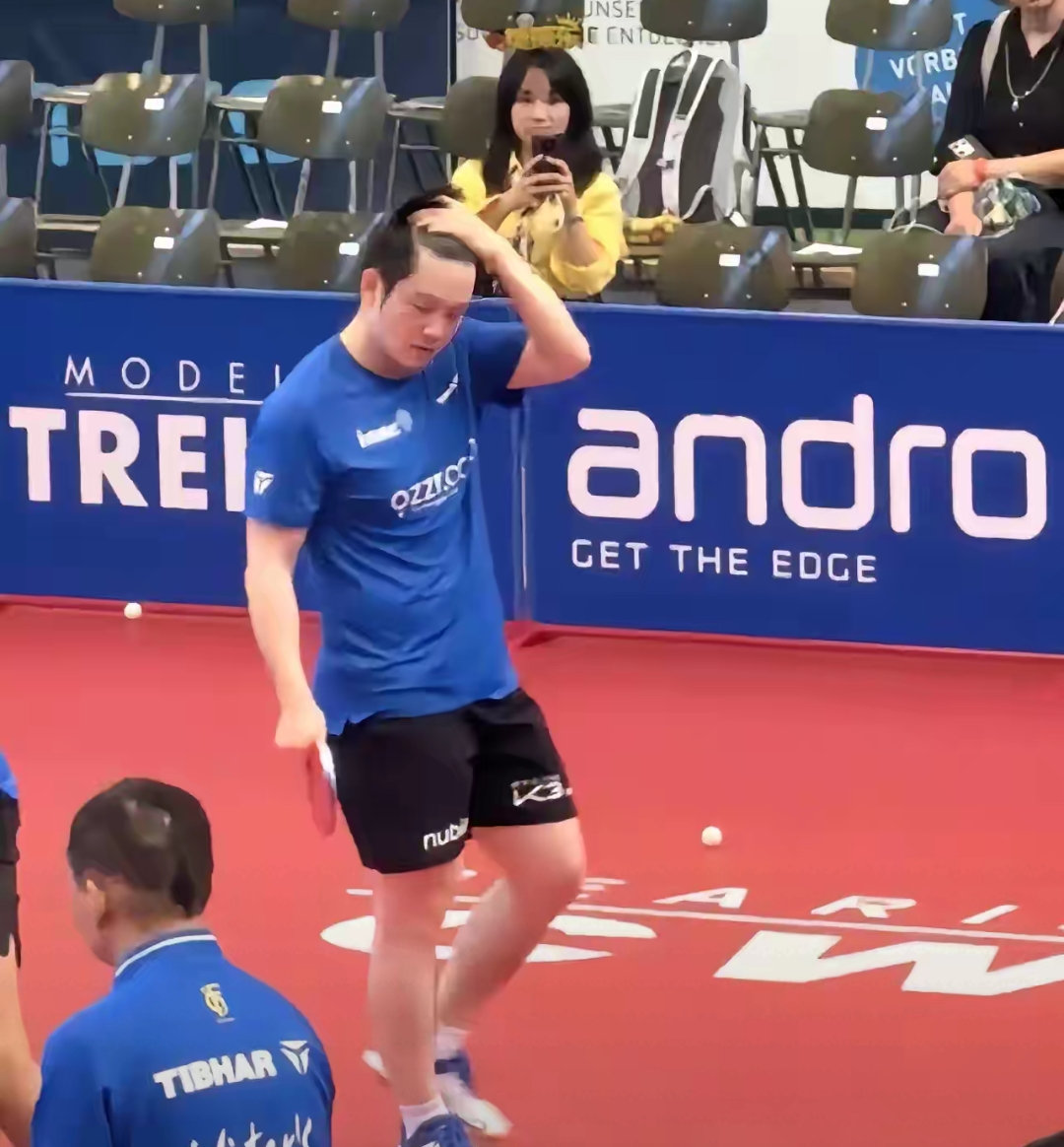 包含波兰乒乓球队碾压德国乒乓球队，樊振东绝境逆转的词条